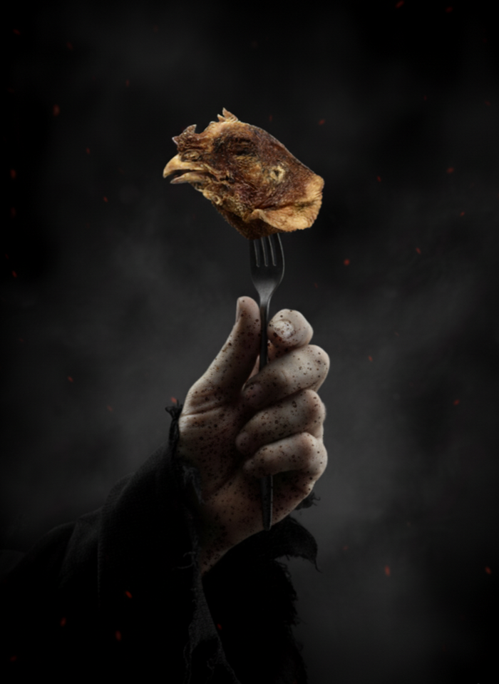 CorpseCo freeze-dried raw chicken heads